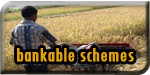 Bankable Schemes