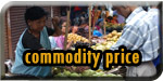 Commodity Prices