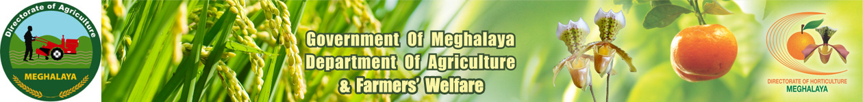 Logo of the Department