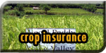 Crop Insurance