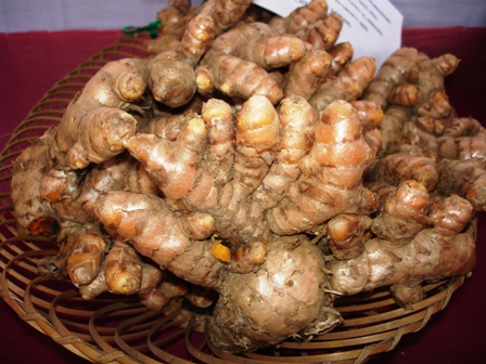 turmeric