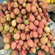 Litchi