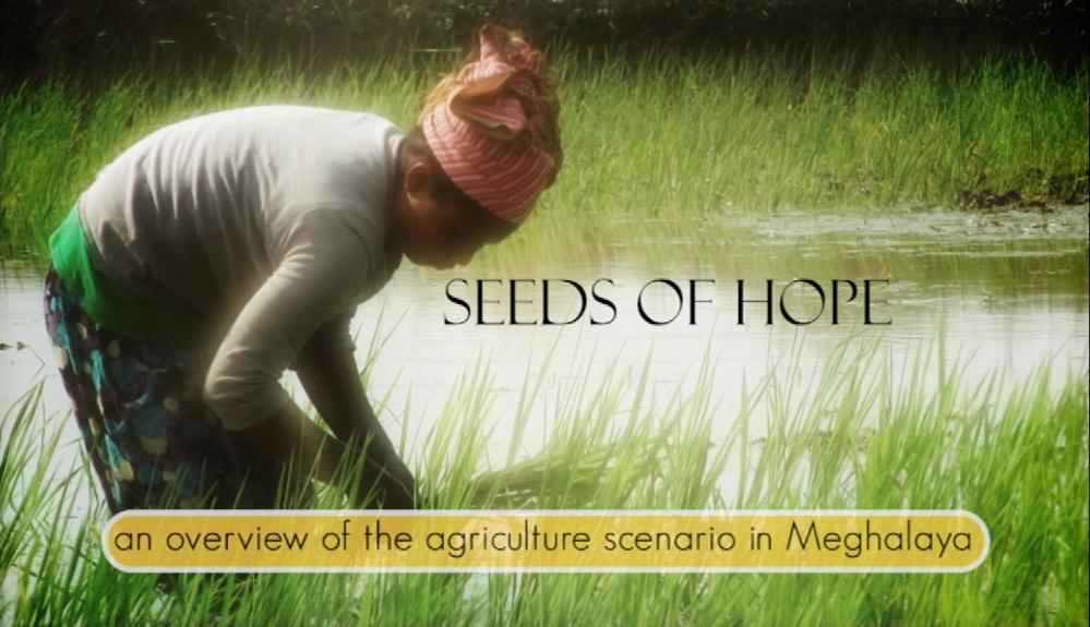Seeds Of Hope