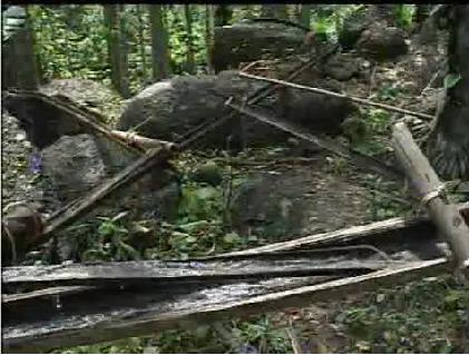 Bamboo Drip Irrigation