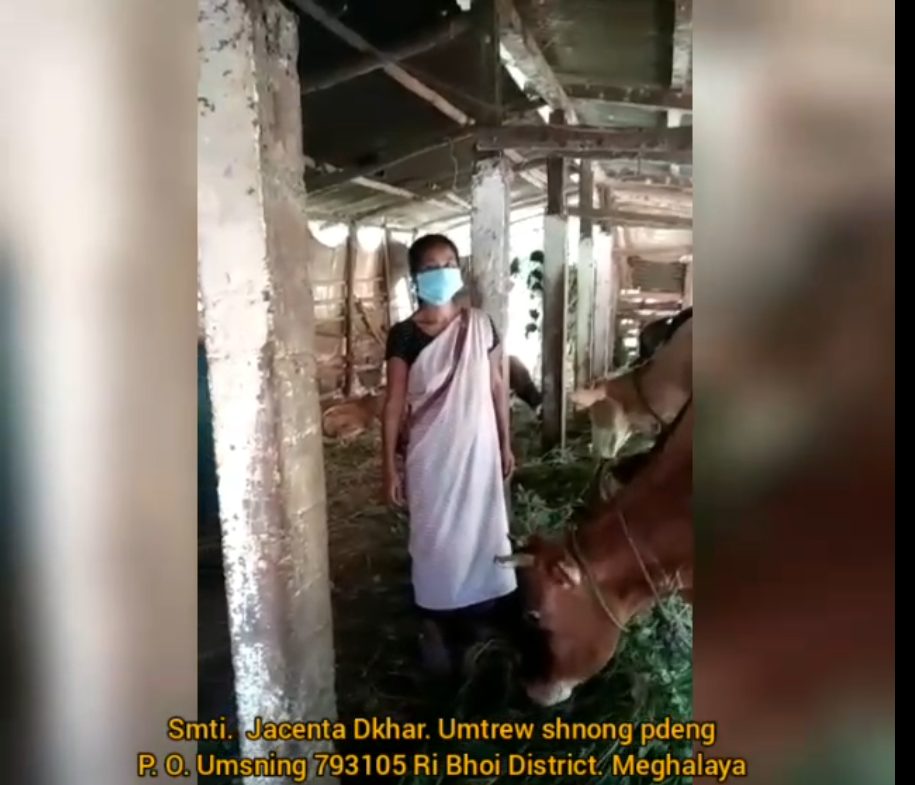 Reuse beds on oyster mushroom cultivation for nutrition and livelihood improvement in Ri-Bhoi District